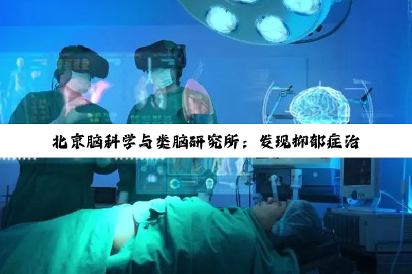北京脑科学与类脑研究所:发现抑郁症治疗新机制