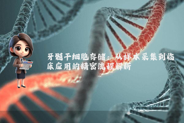 牙髓干细胞存储：从样本采集到临床应用的精密流程解析